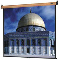 Dalite - 240 Veneer Model BProjection Screen